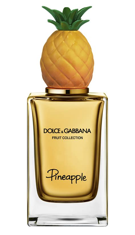 dolce gabbana perdume|dolce and gabbana unisex fragrance.